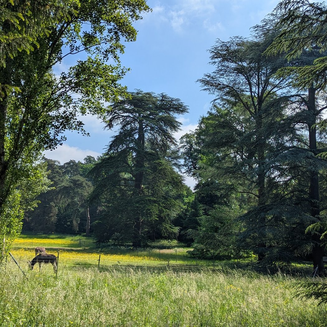 Parc boisé de la Vallée-aux-Loups 2